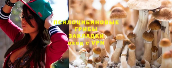 трава Белокуриха