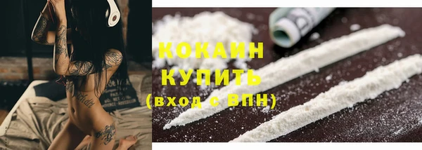 трава Белокуриха
