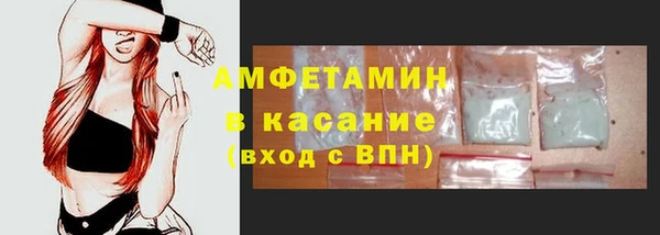 трава Белокуриха