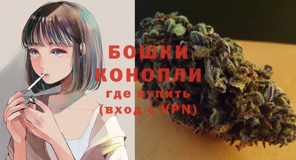 трава Белокуриха