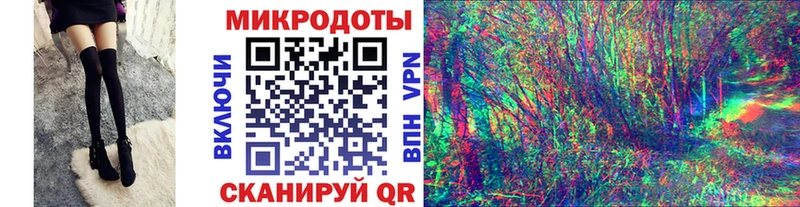 дарнет шоп Светлогорск Галлюциногенные грибы мицелий